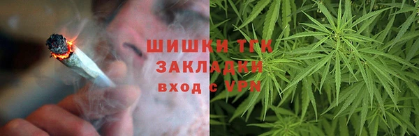 ешки Алексин