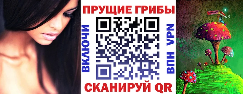Псилоцибиновые грибы Cubensis  Котово 